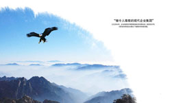 公司文化